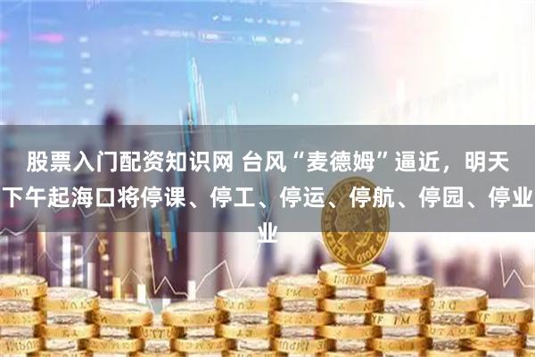 股票入门配资知识网 台风“麦德姆”逼近，明天下午起海口将停课、停工、停运、停航、停园、停业